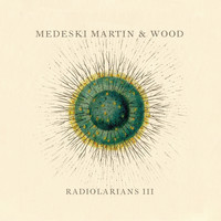 Medeski Martin & Wood - Radiolarians III