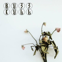 Buzz Kull - Dreams