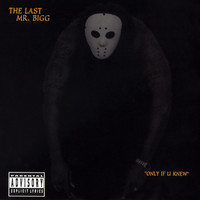 The Last Mr. Bigg - Only If U Knew (Explicit)