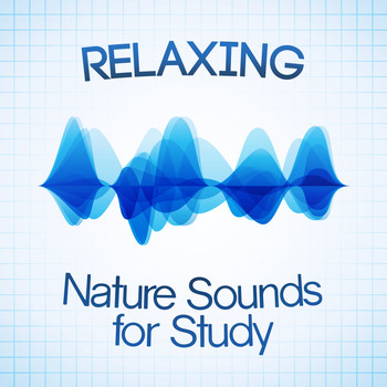 Relaxation Study Music - Relaxing Nature Sounds for Study