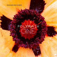 Polymath - One