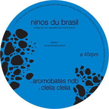 Ninos Du Brasil - Aromobates NDB