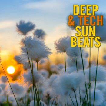 Various Artists - Deep & Tech Sun Beats