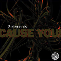 2Elements - Cause You! (Remixes)