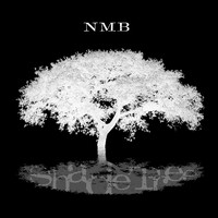 Nick Moss Band - Shade Tree - Single
