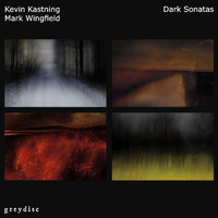 Kevin Kastning & Mark Wingfield - Dark Sonatas