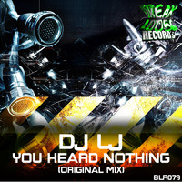 DJ LJ - You Heard Nothing