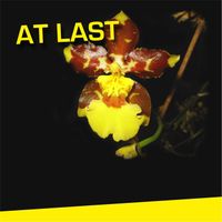 Knut - At Last