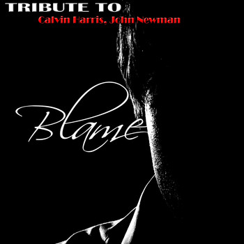 Various Artists - Blame: Tribute to Calvin Harris, John Newman