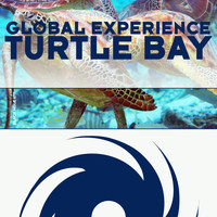 Global Experience - Turtle Bay