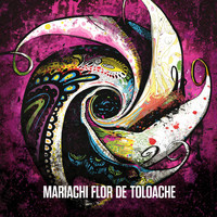Mariachi Flor De Toloache - Mariachi Flor De Toloache