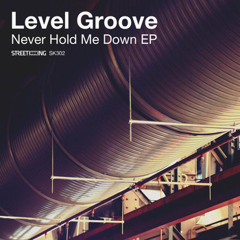 Level Groove - Never Hold Me Down EP