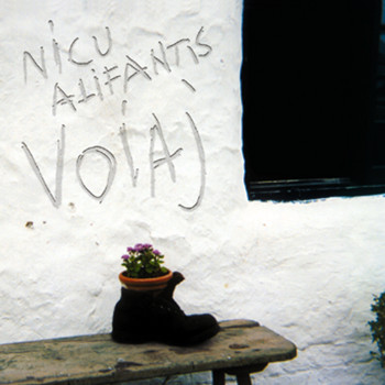 Nicu Alifantis - Voiaj