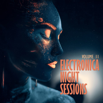 Various Artists - Electronica: Night Sessions, Vol. 11