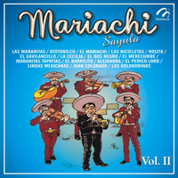 Mariachi Sayula - Mariachi, Vol. 2