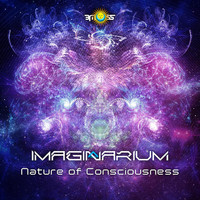 Imaginarium - Nature of Consciousness