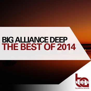 Various Artists - The Best Of Big Alliance Deep 2014