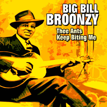 Big Bill Broonzy - Thee Ants Keep Biting Me