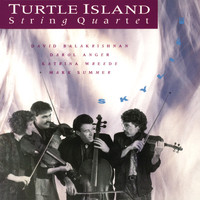 Turtle Island String Quartet - Skylife