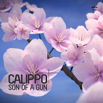 Calippo - Son of a Gun