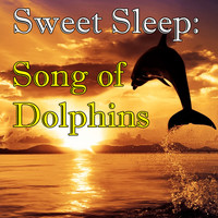 Wilderness - Sweet Sleep: Songs of Dolphins
