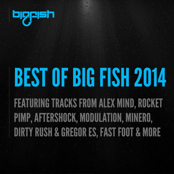 Various Artists - Best of Big Fish 2014