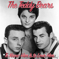 The Teddy Bears - To Know Him Is to Love Him
