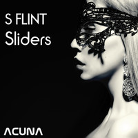 S Flint - Sliders