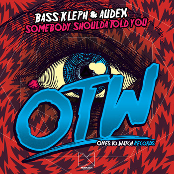 Bass Kleph - Somebody Shoulda Told You