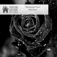 Mikelangelos Project - Black Rose