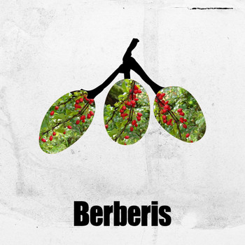 Gregorio Serasin - Midtown EP