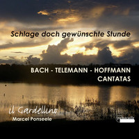 il Gardellino - Schlage doch, gewünschte Stunde