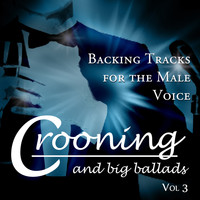 The Professionals - Crooning and Big Ballads - Backing Tracks for the Male Voice, Vol. 3