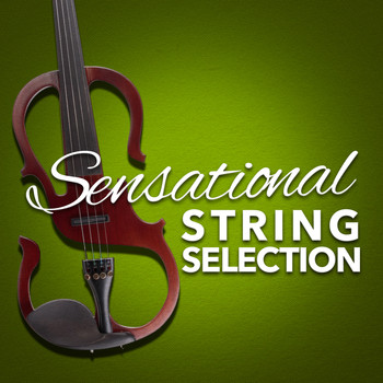 Violin - Sensational String Selection