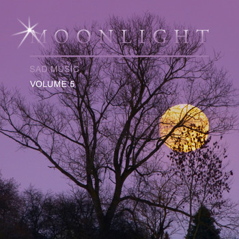 Various Artists - Moonlight Sad Music, Vol. 5