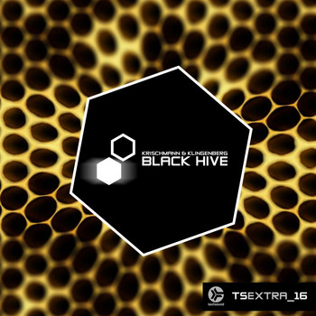 Krischmann & Klingenberg - Techsound Extra 16: Black Hive