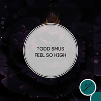 Todd Smus - Feel So High