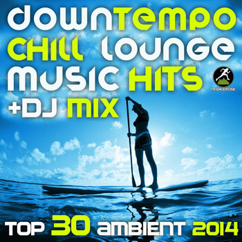 Various Artists - Downtempo Chill Lounge Music Hits + DJ Mix Top 30 Ambient 2014