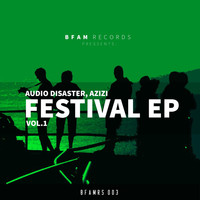 Audio Disaster - Festival EP, Vol. 1