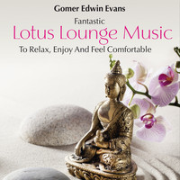 Gomer Edwin Evans - Lotus Lounge Music: To Relax, Enjoy and Feel Comfortable