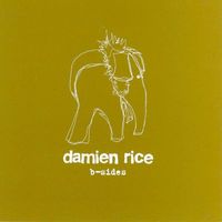 Damien Rice - B Sides