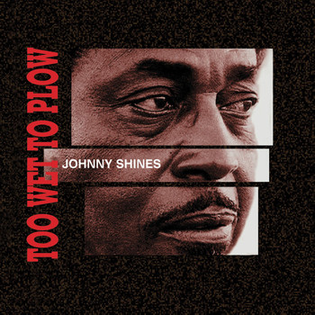 Johnny Shines - Worried Blues Ain't Bad
