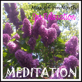 Various Artists - Meditation and Relaxation