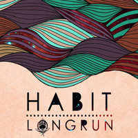 Habit - Long Run