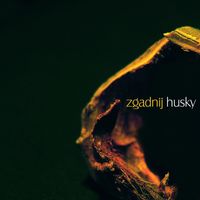 Husky - Zgadnij