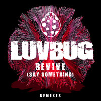 LuvBug - Revive (Say Something) (Remixes)