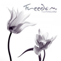 Tulpenglanz - Freedom