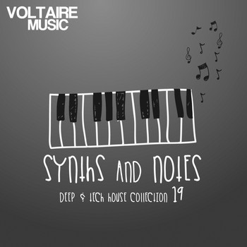 Various Artists - Synths and Notes 19