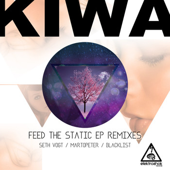 Kiwa - Feed The Static EP Remixes