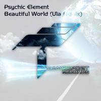 Psychic Element - Beautiful World (Ula Remix)